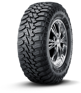 Шины Nexen Roadian MTX RM7