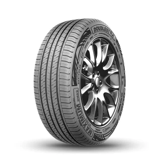 Шины Doublestar DH09