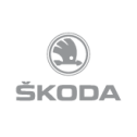 Диск литой Replay SK155 19x7.0J/5x112 D57.1 ET43 SF