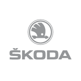 Колесные диски Replay Skoda