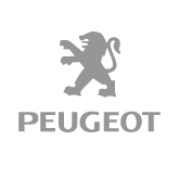 Колесные диски Replay Peugeot