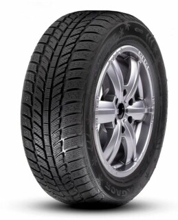 Зимняя шина RoadX RXFrost WH01 205/50 R16 87H
