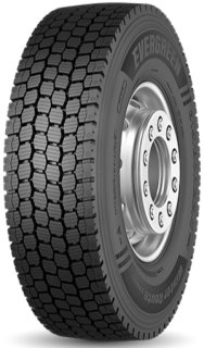 Шины Evergreen EDW85