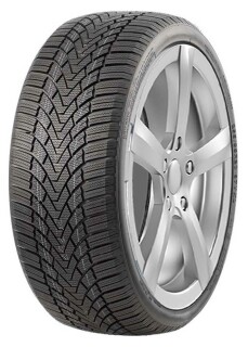 Зимняя шина Roadmarch Winter X Pro 888 225/55 R18 98H