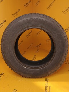 Зимняя шина Triangle Group Trin PL01 195/65 R15 95R фото 2