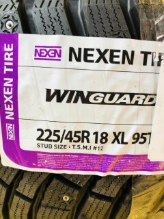 Зимняя шина Nexen WinGuard WinSpike 3 225/45 R18 95T фото 3