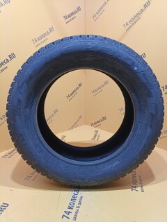 Зимняя шина Pirelli Winter Ice Zero 205/60 R16 96T фото 2