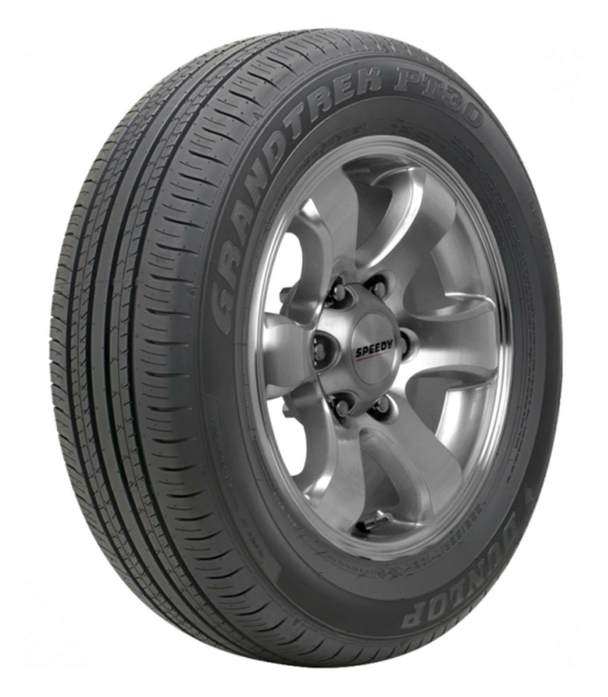 Шина Dunlop Grandtrek PT30 225/60 R18 100H