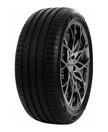 Летняя шина Delinte DS2 245/45 R19 98Y RunFlat