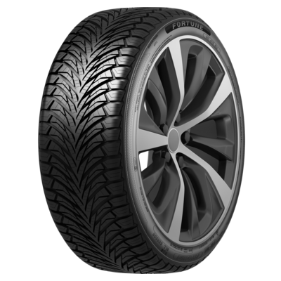 Шина Fortune Fitclime FSR-401 215/55 R16 97V