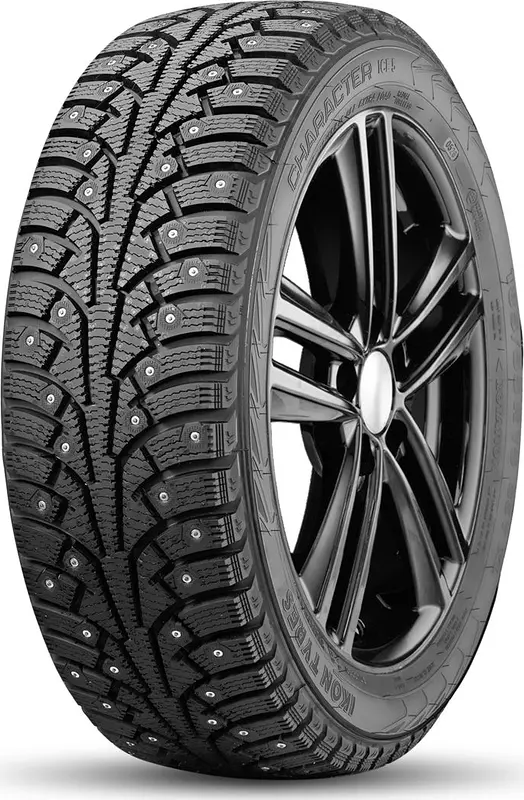 Шина Ikon (Nokian Tyres) Character Ice 5 195/55 R15 89T