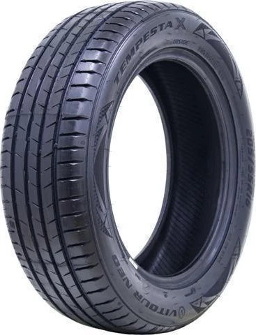 Шина VITOURNEO TEMPESTA X 165/70 R13 79N